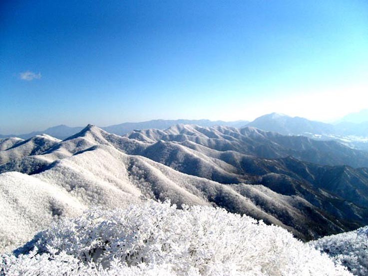 충북 영동 민주지산, 겨울 산행 최고 < 영동 < 충북 < 기사본문 - 충청신문 충북 영동 민주지산, 겨울 산행 최고
