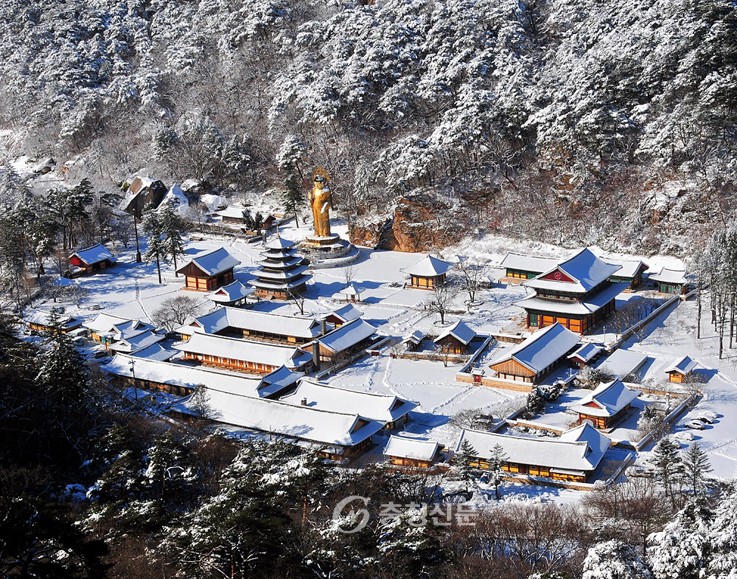 화훼 - 충북 보은 음식 사진