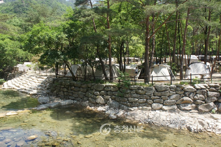 월악산국립공원 용하야영장
