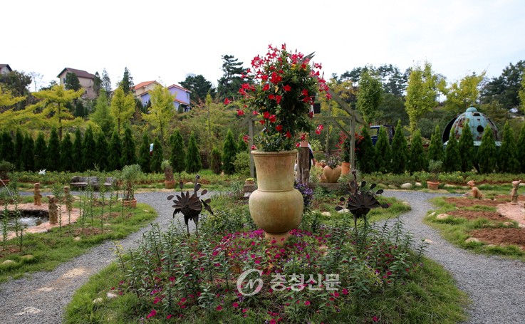 국화와 허브의 만남, ‘태안 팜카밀레 축제’ 인기 < 태안 < 충남 < 기사본문 - 충청신문 국화와 허브의 만남, ‘태안 팜카밀레 축제’ 인기