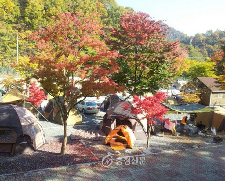 단양군, 소선암·천동·대강 단풍캠핑장 ‘인기’ < 단양 < 충북 < 기사본문 - 충청신문 단양군, 소선암·천동·대강 단풍캠핑장 ‘인기’