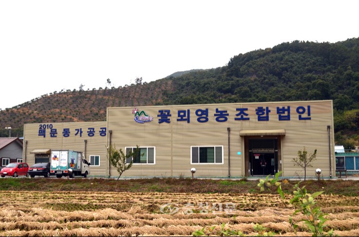 [충청신문-충청남도 ‘마을기업’함께 키운다] 꽃뫼영농조합법인 < 연재마감 < 오피니언 < 기사본문 - 충청신문 [충청신문-충청남도  ‘마을기업’... 