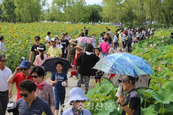 제16회 부여서동연꽃축제가 펼쳐지고 있는 ‘부여 궁남지’ 전경