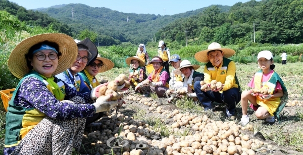 17일 박용갑 중구청장(사진 오른쪽서 두 번째)가 자원봉사자들과 행복나눔 감자농장에서 감자를 수확하고 있다.