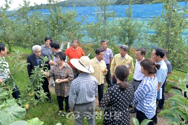 박정현 부여군수와 부여군의회 의원들이 관내 폭염피해 현장을 방문, 피해 농민들의 애로사항을 청취하고 있다.