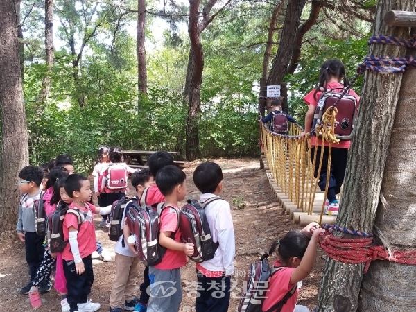 아이들이 태학산자연휴양림 유아숲 체험원에서 노는 모습