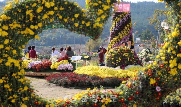 태안군 원북면 반계리 이화마을공원에서 오는 26일부터 31일까지 6일간 ‘제6회 원북면 국화향기 나눔전’이 개최된다. 사진은 지난해 국화향기 나눔전 모습.
