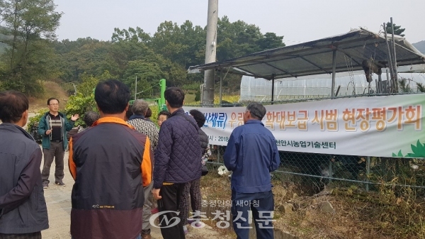 천안시 농업기술센터가 ‘2018년 약용작물(산채류) 우량종자 보급확대 시범 사업’에 대한 현장 평가회를 16일 개최했다.
