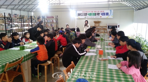 ‘토종씨앗박물관’에서 대술초등학교 전교생이 체험하는 모습