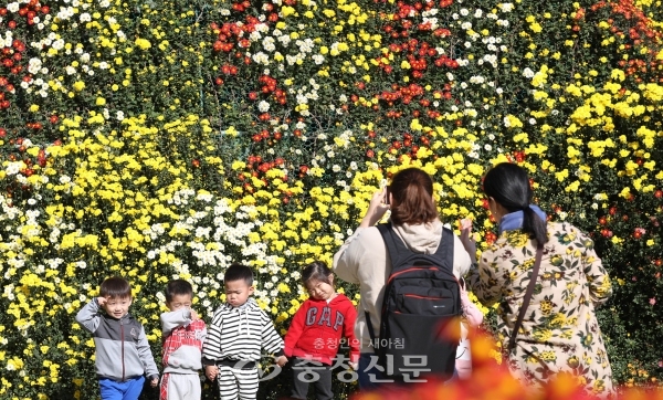 대전 동구가 오는 23일부터 대청호 자연생태관과 수변공원 일원에서 국화전시회를 개최한다. 사진은 지난해 대청호반 국화전시회.