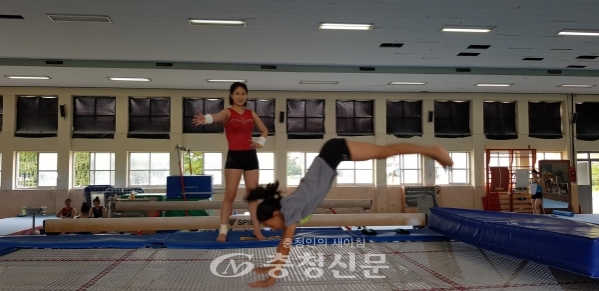 천안시청 직장운동경기부 체조팀이 재능기부로 천안초등학교 체조부를 지도하고 있다.