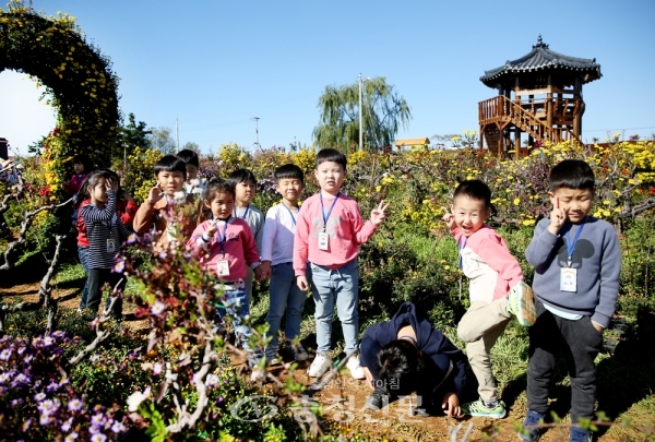 충남 서산 고북면 일원에서 오는 4일까지 진행되는 제21회 서산국화축제장을 찾은 어린이들이 밝게 웃고 있다.