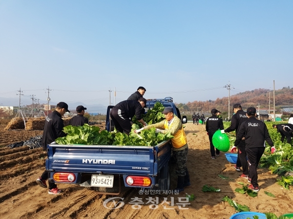 충주시 노은라이온스클럽(회장 김영혁)은 최근 직접 재배한 배추를 수확해 소외계층을 위한 김장용으로 전달했다고 8일 밝혔다.