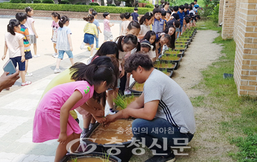 대전삼천초 운동장 주변에 마련된 공간에서 학생들의 모심기 체험이 이뤄지고 있다.