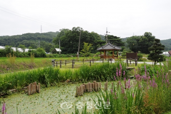 아산시 죽산1리 일대마을 자연정화생태습지 전경 모습(사진제공=아산시)
