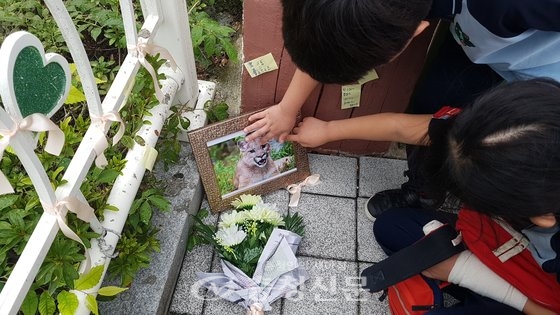 탈출한 퓨마 '호롱이'가 사살된 뒤 사진과 함께 국화꽃으로 추모하고 있다.