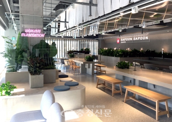 KGC인삼공사가 세종시에 건강 라이프스타일 카페 '정관장 사푼사푼' 세종점을 오픈했다. <사진=인삼공사제공>