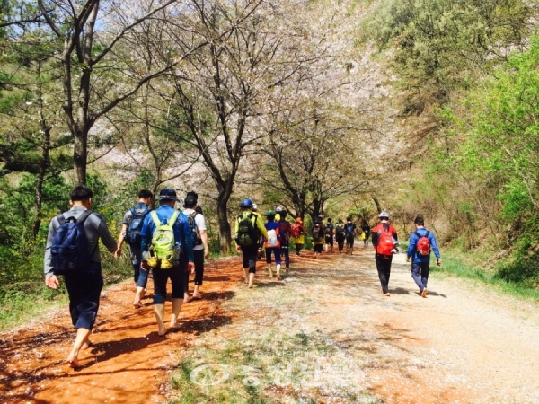 충청권 대표소주 '이제우린'을 만드는 맥키스컴퍼니가 대전의 계족산황톳길과 아산 용곡공원, 당진 삼선산수목원 등 에코힐링을 만끽하는 맨발 황톳길 관리에 한창이다. (사진=맥키스컴퍼니)