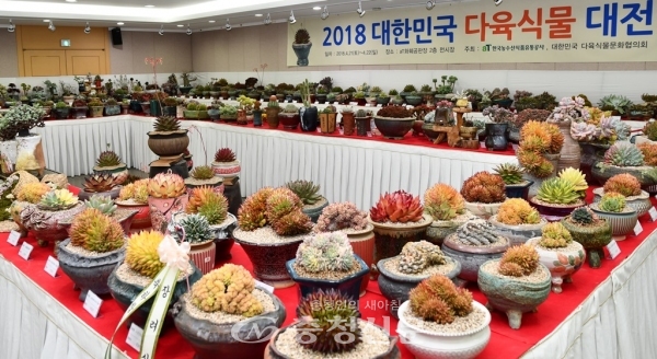 한국농수식품유통공사가 20~21일 aT화훼사업센터에서 '2019 대한민국 다육식물 대전'을 개최한다. (사진=aT)