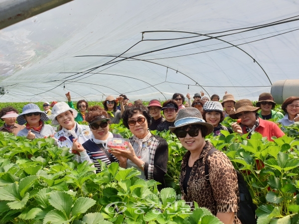 22일 농협대전지역본부가 대전 주요 여성단체 임원 및 회원들을 대상으로 도농공감 연수를 실시했다. (사진=농협대전지역본부 제공)