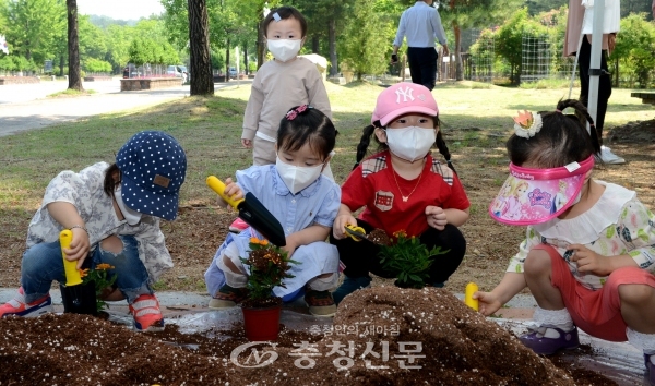 새싹 초화 꽃 피우기 체험하는 아이들. (사진=현충원 제공)