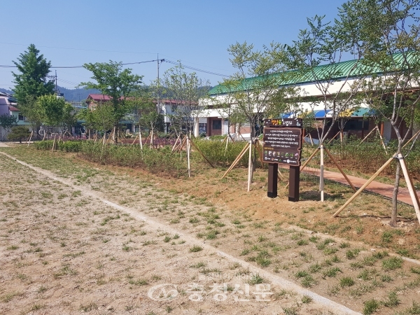 한산초등학교 자투리 공간에 수목 27종 1557그루를 식재해 조성한 명상숲.  (사진=서천군 제공)