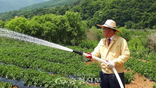 류한우 단양군수가 최근 대강면 괴평리 한농가를 찾아 급수작업을 돕고 있다. (사진=단양군 제공)