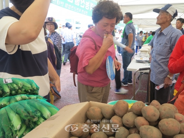 지난해 옥수수·감자 축제장 모습. (사진=안내면 제공)