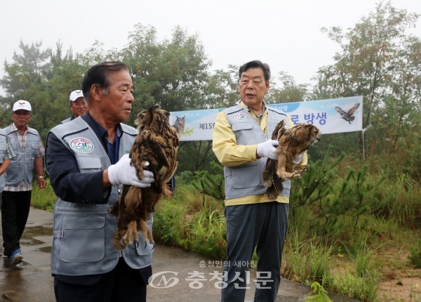 태안군에서 멸종위기 야생동물 2급이자 천연기념물인 수리부엉이 방사행사가 열렸다. <사진=태안군 제공>