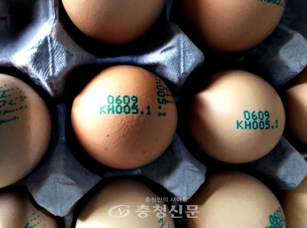 오는 23일부터 계란 난각(껍데기)에 산란일자 표시 의무화 규정이 본격 시행된다. (사진=충주시 제공)