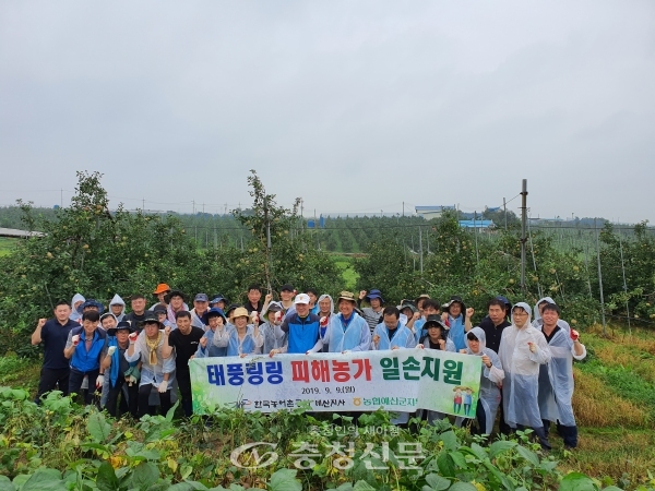 한국농어촌공사 충남지역본부는 김종필 본부장을 비롯한 직원 130여명이 9일 태풍(링링)으로 피해를 본 과수농가 8곳을 방문해 농민을 위로하고 낙과 수거 봉사활동을 펼쳤다. (사진=농어촌공사 충남본부)