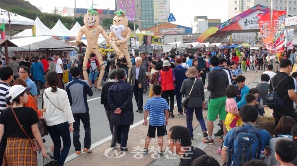 지난 2015년 금산인삼축제 모습. <사진=금산군 제공>