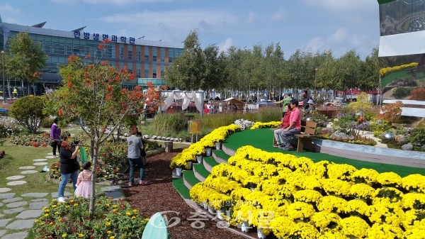 제천시농업기술센터가 한방바이오박람회 기간동안 엑스포 공원에 마련한 음양오향 색깔정원 (사진=제천시 제공)