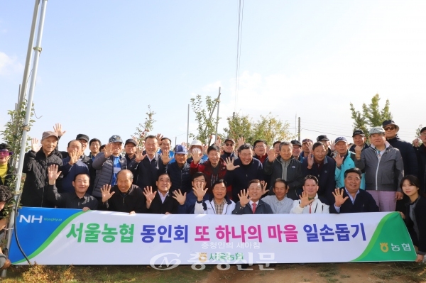 서울지역 농협퇴직동인회 회원들이 사과농장 일손을 도왔다.