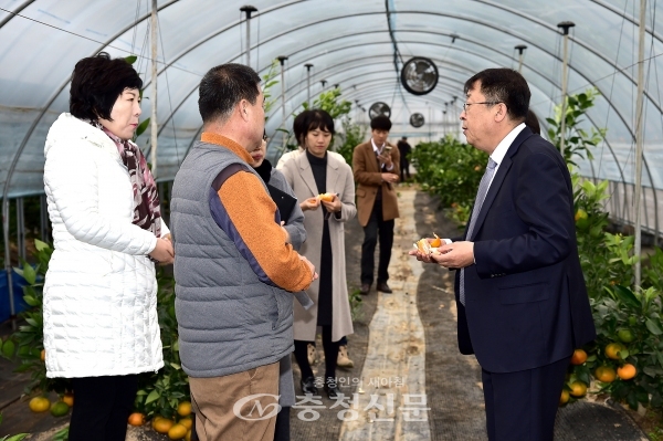 이상천 제천시장(오른쪽)이 만감류 재배에 성공한 농가를 찾아 격려하고 있다. (사진=제천시 제공)