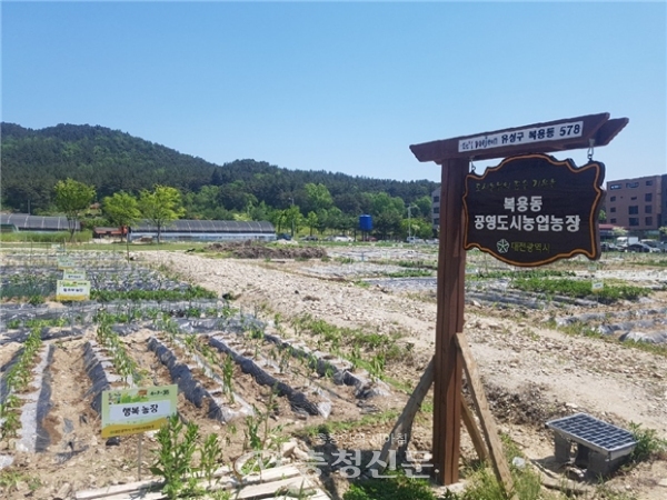 대전시 유성구 복용동 공영도시농업농장.(사진=대전시 제공)