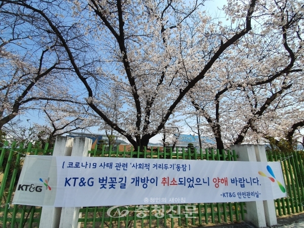 시민들로부터 매년 봄꽃 휴식처로 인기를 얻고 있는 KT&G 벚꽃길 개방이 올해는 코로나19로 취소됐다. (사진=김용배기자)
