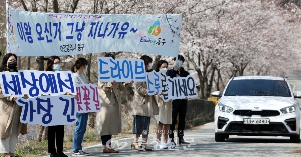 대전 동구청 직원들이 31일 대청호 벚꽃길 일원에서 사회적 거리두기 캠페인을 전개하고 있다.(사진=동구 제공)