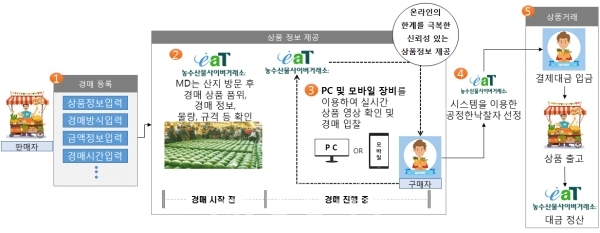 한국농수산식품유통공사(aT) 산지-소비자 직통 농산물 온라인경매 구조.(제공 = aT)