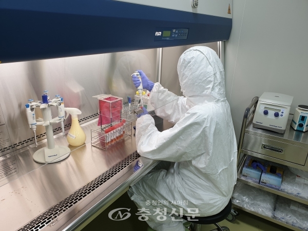 대전보건환경연구원이 신종 코로나바이러스(코로나19) 검사를 하고 있다.(사진=대전보건환경연구원 제공)