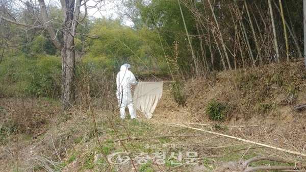 대전보건환경연구원이 야생 진드기를 채집하고 있다.(사진=대전보건환경연구원 제공)