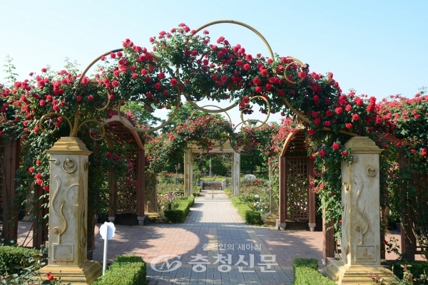 대전시는 22일부터 31일까지 열흘 동안 한밭수목원 동·서원 진입광장 일원에서 제27회 우리 꽃 전통생활식물 전시회를 개최한다.(사진=대전시 제공)