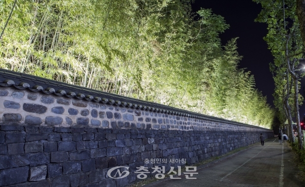 대전 둔산선사유적지 돌담길(대나무숲)에 야간경관조명이 설치됐다.(사진=대전시 제공)