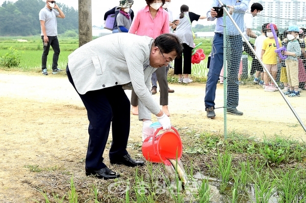 이상천 제천시장이 친환경 농사에 필요한 메기를 방사하고 있다. (사진=제천시 제공)