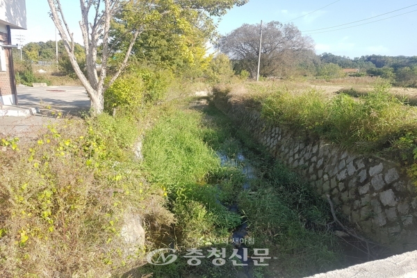 사업 대상지인 증평읍 용강리 일원 석현소하천 모습. (사진=증평군 제공)