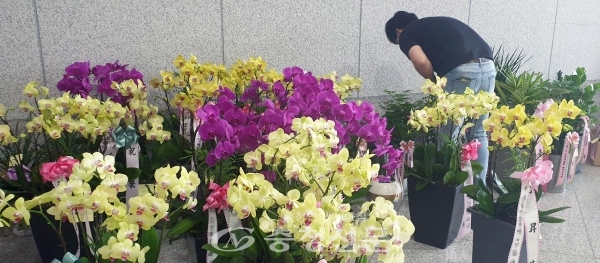 1일자로 인사를 단행한 대전시청. 영전을 축하하는 꽃들이 코로나19 때문에 직접 배달이 안돼 1층 로비에 집합, 주인의 손길을 기다리고 있다.(사진=황천규 기자)