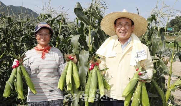 이차영 괴산군수와 농민이 수확한 옷수수를 들어 보이고 있다. (사진=괴산군 제공)