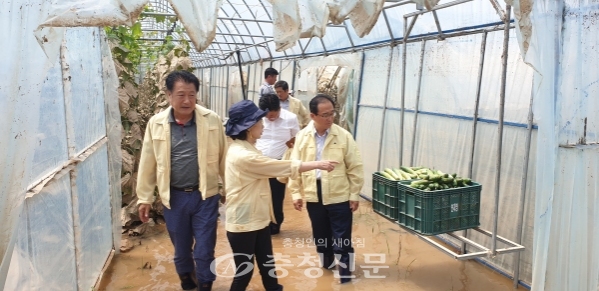 수해를 입은 진천군 초평면 한 오이농가를 찾아 피해 상황을 확인하는 진천군의회 의원들. (사진=진천군의회 제공)