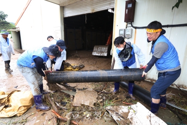 KT&G 임직원들이 지난 6일 충북 제천시 봉양읍에서 수재민 피해 복구를 돕고 있다. (사진=KT&G 제공)