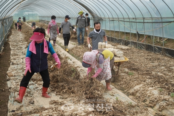 진천군 한 침수피해 농가를 찾아 복구활동을 펼치는 강릉시 옥계면 주민들. (사진=진천군 제공)